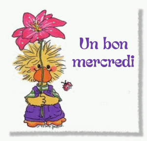 Gif animé Bon mercredi canard et fleur